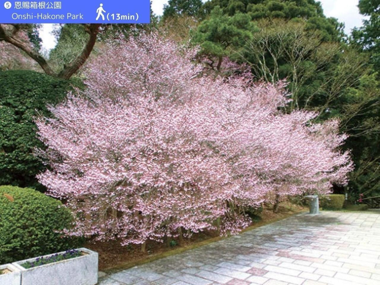 Yoichi Inn Hakone Kültér fotó